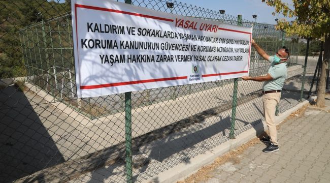 Gaziemir Belediyesi, sokak hayvanları için afişler astı