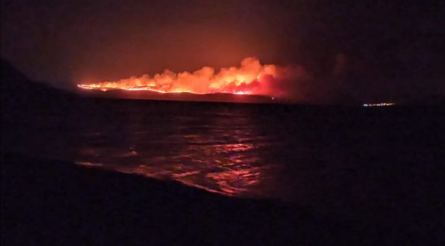 İzmir'de büyük orman yangını