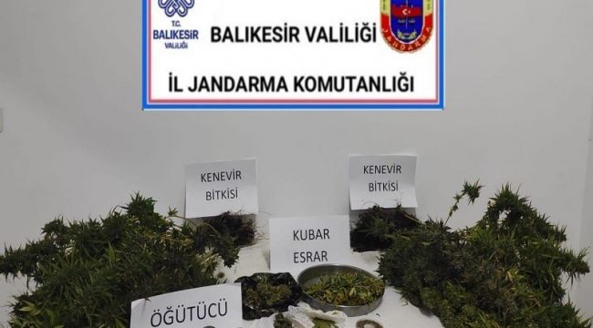 Balıkesir Jandarması 53 kişiyi gözaltına aldı