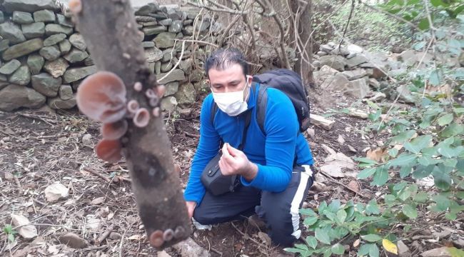 Kuşadası'nda yeni bir mantar türü daha keşfedildi