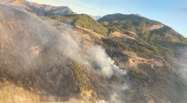 Muğla'da orman yangınına havadan karadan müdahale