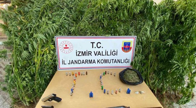 İzmir'de uyuşturucudan 12 tutuklama