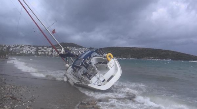 Bodrum'daki fırtınada yelkenli karaya oturdu