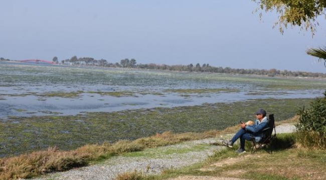 Havalar soğuldu, İzmir'de deniz marulu yok oldu