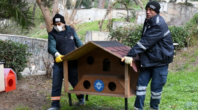 Karabağlar Belediyesi parklara kedi evleri yerleştiriyor