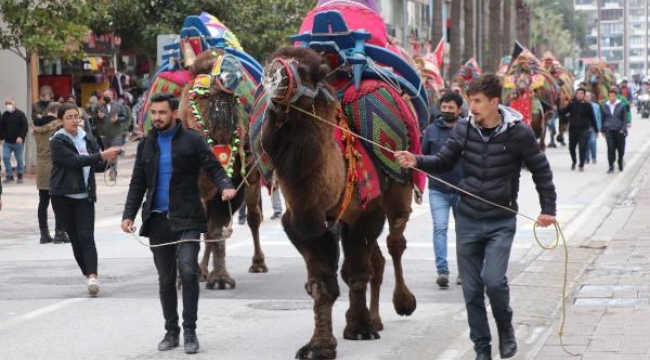 Develer güreşler öncesinde şehir merkezinde gezdirildi