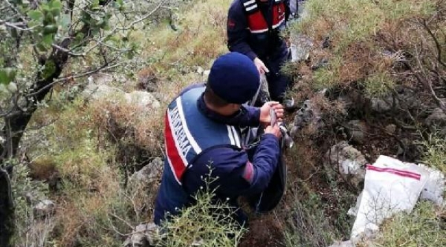 Organ mafyası tarafından öldürüldüğü ortaya çıktı 