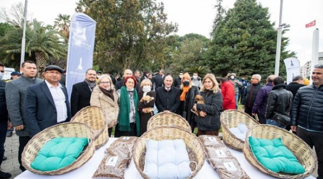 Sokak hayvanları için İzmir Veteriner Hekimleri Odası ile iş birliği