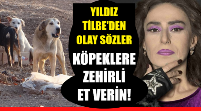 Ünlü şarkıcı köpekleri hedef aldı