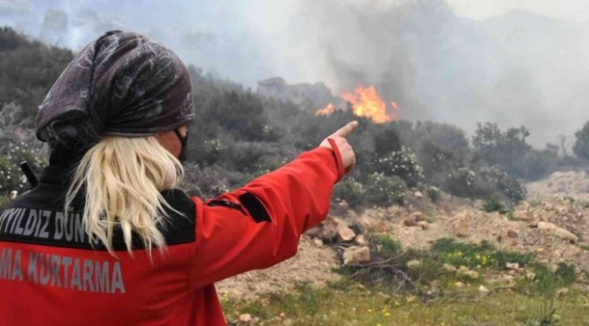 Bodrum'daki o yangın sabotaj çıktı! 3 tutuklama