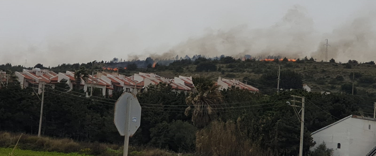 Çeşme'de korkulu anlar! Alevler yükseldi