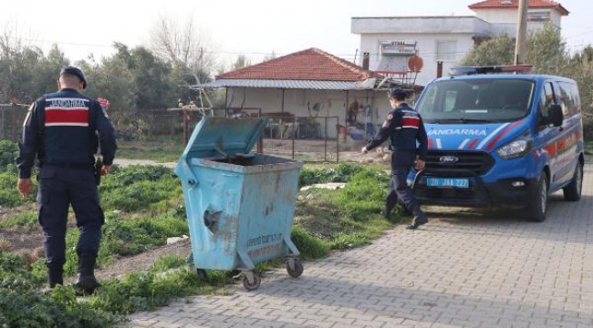 Denizli'de 20 kedi ve köpek ölü bulundu