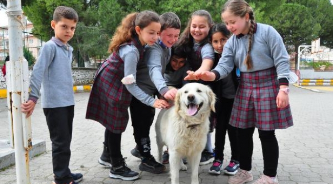 Elmas öğretmenin sahiplendiği 'Badem' okulun maskotu oldu