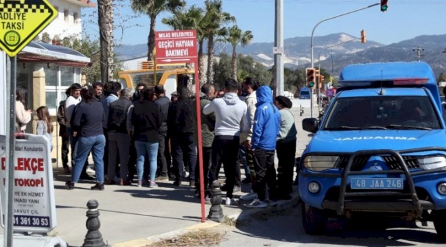 Milas'ta ilginç dolandırıcılık! Yüzlerce kişi adliyede