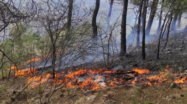 Kazdağları yandı! Orman yangını sezonu erken açıldı