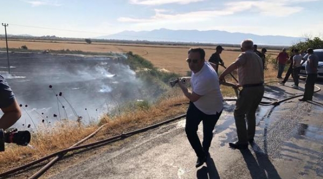 Buğday tarlasında çıkan yangın, zeytinlik alana sıçradı