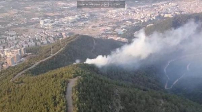 İzmir'de orman yangını