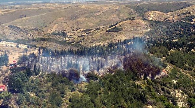 İzmir'de orman yangını