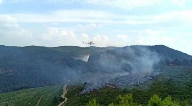 Manisa'da alevler, 5 dönüm ormanı küle çevirdi