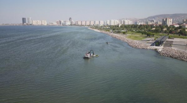 Bostanlı'daki deniz marulu temizliği tamamlandı