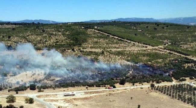 Bu kez Bergama ormanları yanıyor