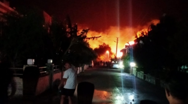 Gümüldür'de yazlıkçıları korkutan orman yangını