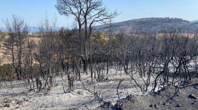 Manisa'daki orman yangını 13,5 saat sonra kontrol altında