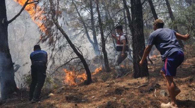 Rüzgara dikkat! Muğla Valiliği'nden 'orman yangını' uyarısı 