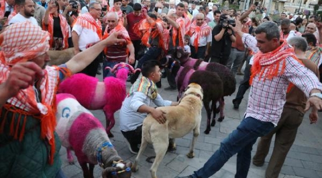 8 asırdır süren gelenek festival