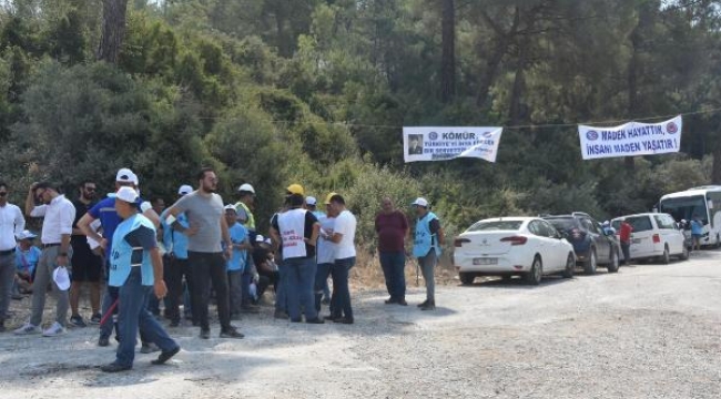 Akbelen Ormanı'ndaki maden sahası için 3. kez bilirkişi keşfi yapıldı