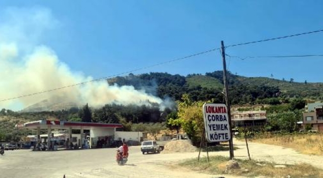 Manisa'da 2 ilçede orman yangını