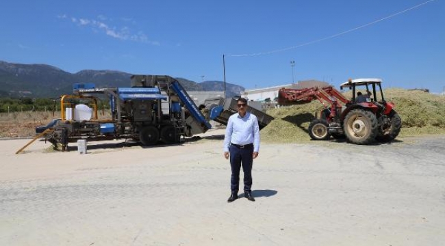 Şehzadeler'de tarıma kazandırılan atıl arazide ilk hasat yapıldı