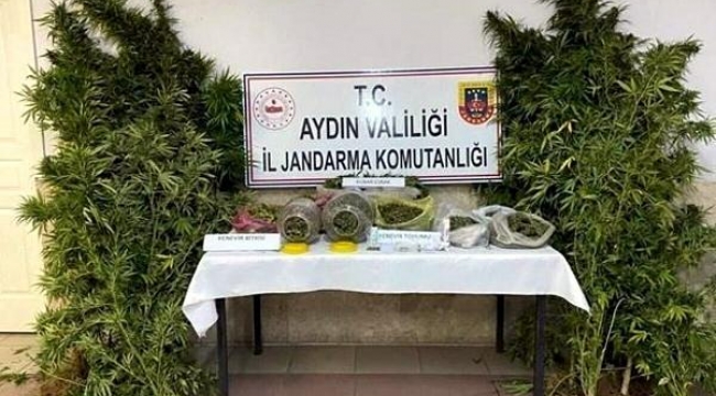 Nazilli'de uyuşturucu operasyonuna 1 tutuklama