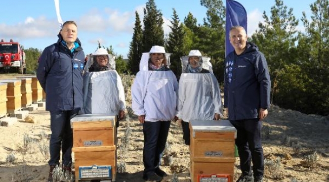 32 farklı sosyal proje: 200 milyon arı için yaşam alanı oluşturuluyor