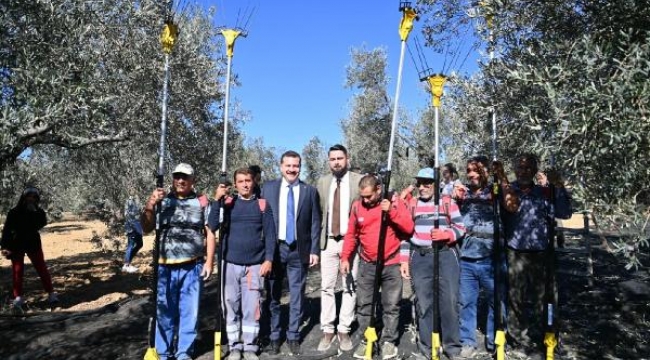 Balıkesir Belediye Başkanı Yılmaz, zeytin hasadına katıldı