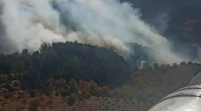 İzmir'de orman yangını