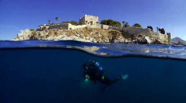 Kuşadası Belediyesi Deniz Canlıları Tanıtım Merkezi kuruyor