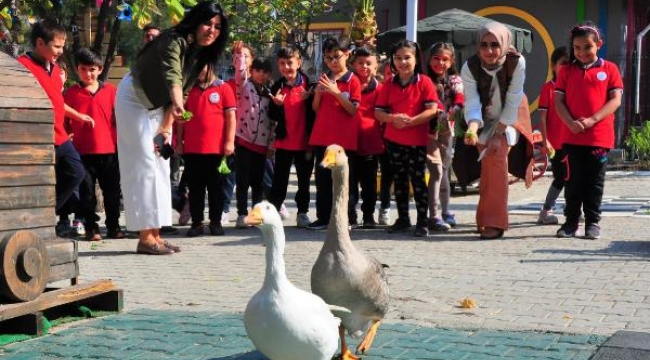 Okulun bahçesinde mini hayvanat bahçesi! Görerek öğreniyorlar