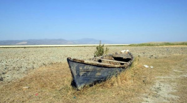 Kuruyan gölde organik tarım yapılacak