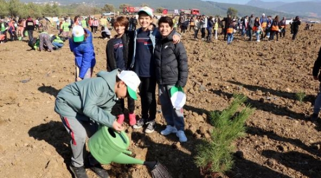 Milli Ağaçlandırma Günü'nde, İzmir'de 42 bin 200 fidan dikildi