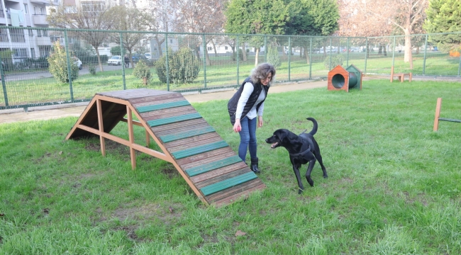 Bayraklı'da evcil hayvanlar için özel tasarım 'Pati Park' açıldı