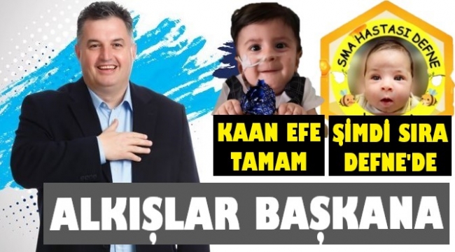 Kınık'ta 'Defne yaşasın' seferberliği! Başkan öncülük ediyor