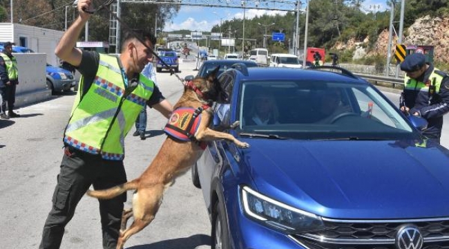 Bodrum'a arife günü 15 bin araç giriş yaptı