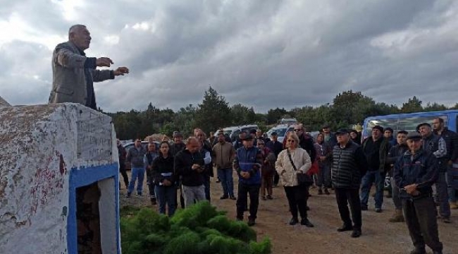 Bodrum'da taş ocağına karşı yargı zaferi!