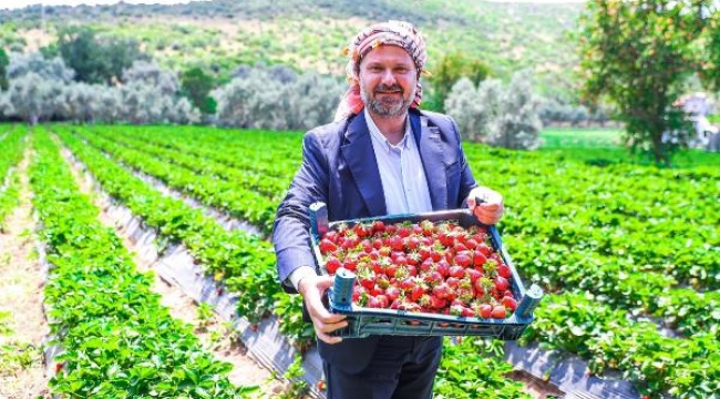 Menemen'de 'Çilek Tadında Festival'e ünlü sanatçılar geliyor