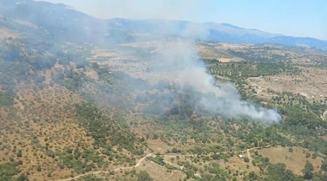 Bergama'da orman yangını