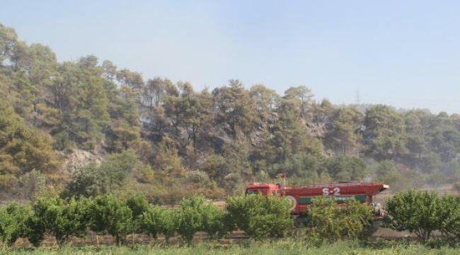 Çanakkale'de ormanlara girişler 15 Eylül'e kadar yasaklandı