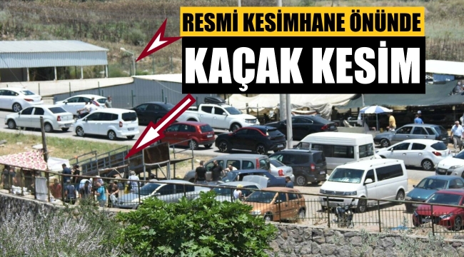 Kesim yeri karşısında kaçak kesim! Herkes seyretti