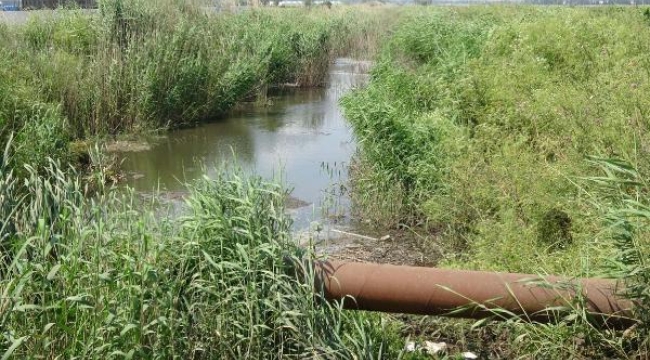 Tarım arazilerini sulayan kanal, siyah akıyor