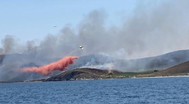 Avşa Adası'nda otluk arazide yangını